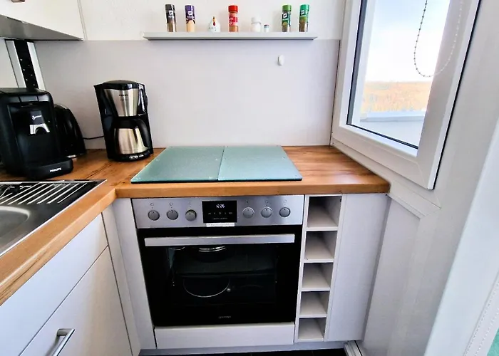 Harztraum Altenau (Lower-Saxony)